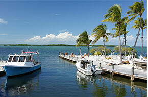 Florida Keys office picture